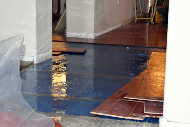 Professional Sewage Cleanup technician working in Brookline, MA